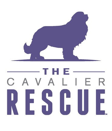 Cavalier Rescue Fundraiser