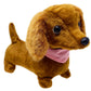 Dottie the Walking Dachshund Dog