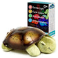 Twilight Turtle - Classic