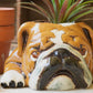 Ceramic Bulldog Planter