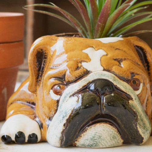 Ceramic Bulldog Planter