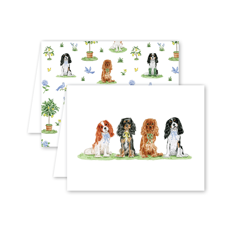 Cavalier Garden Boxed Card Set