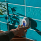 Pura Mini Smart Fragrance Diffuser