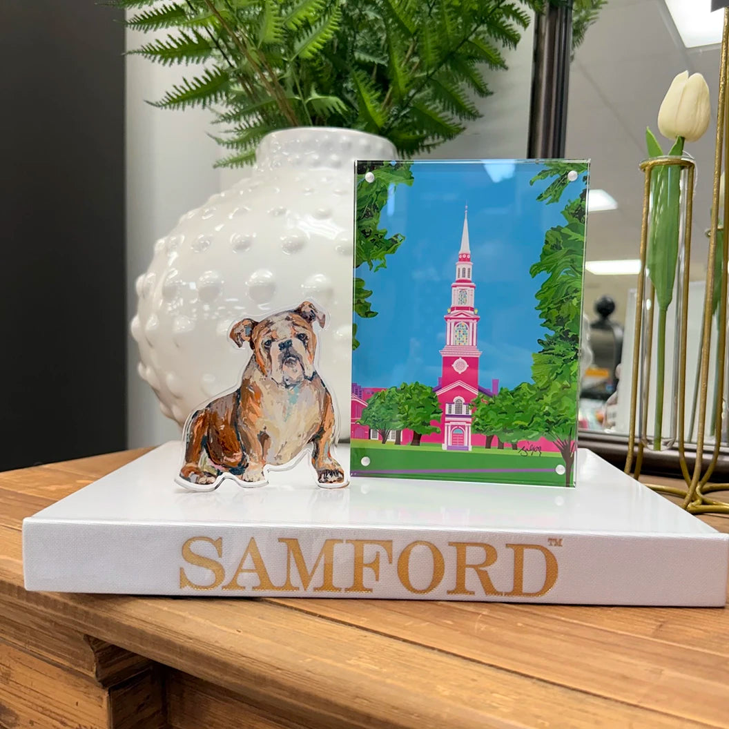 Samford Dorm Decor Package