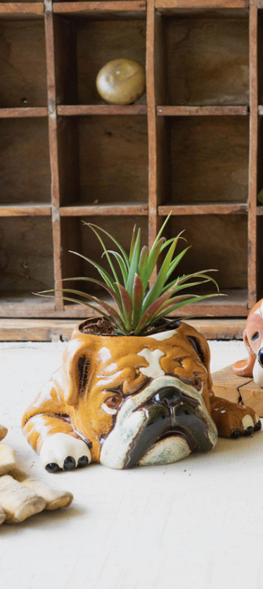 Ceramic Bulldog Planter