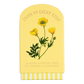 Faith Collection Guided Cards with Stand