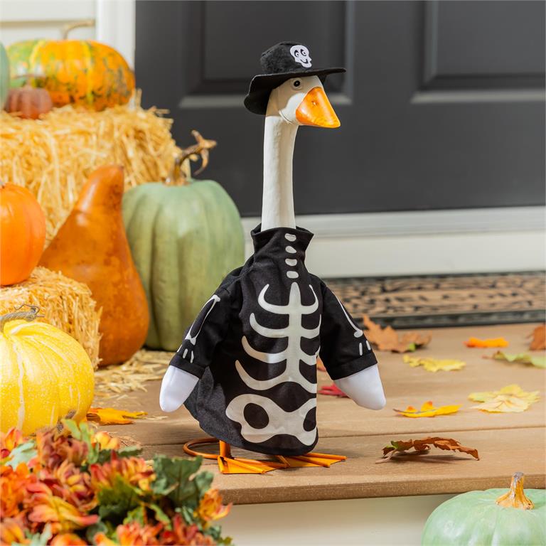 Giddy the Goose Outfit