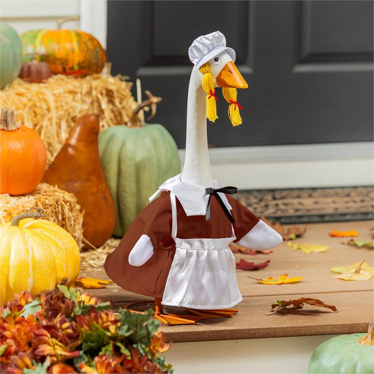 Giddy the Goose Outfit