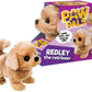 Redley the Walking Golden Retriever Dog