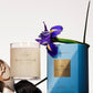 Glasshouse Fragrances Candle