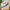 Oh My Mahjong - Mahj It All Bag