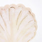 Watercolor Clam Shell Napkin Set