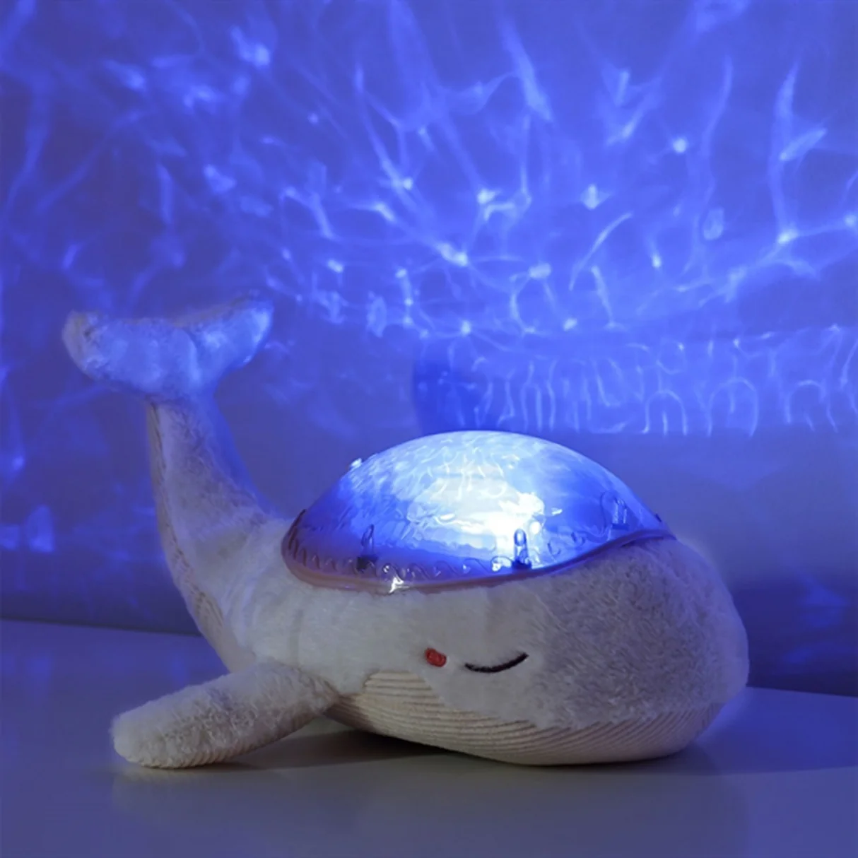 Tranquil Whale - White Family