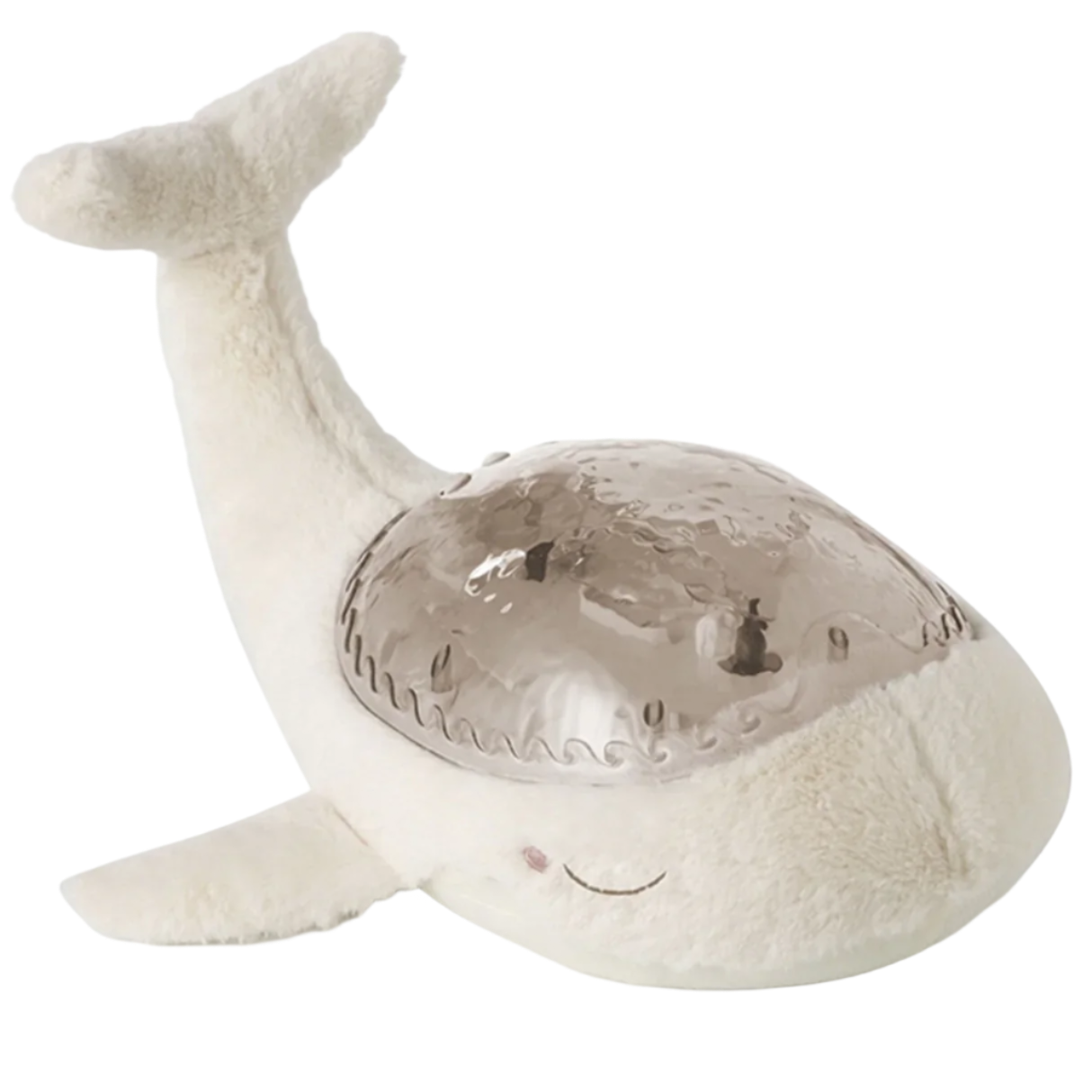Tranquil Whale - White Family