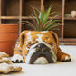 Ceramic Bulldog Planter