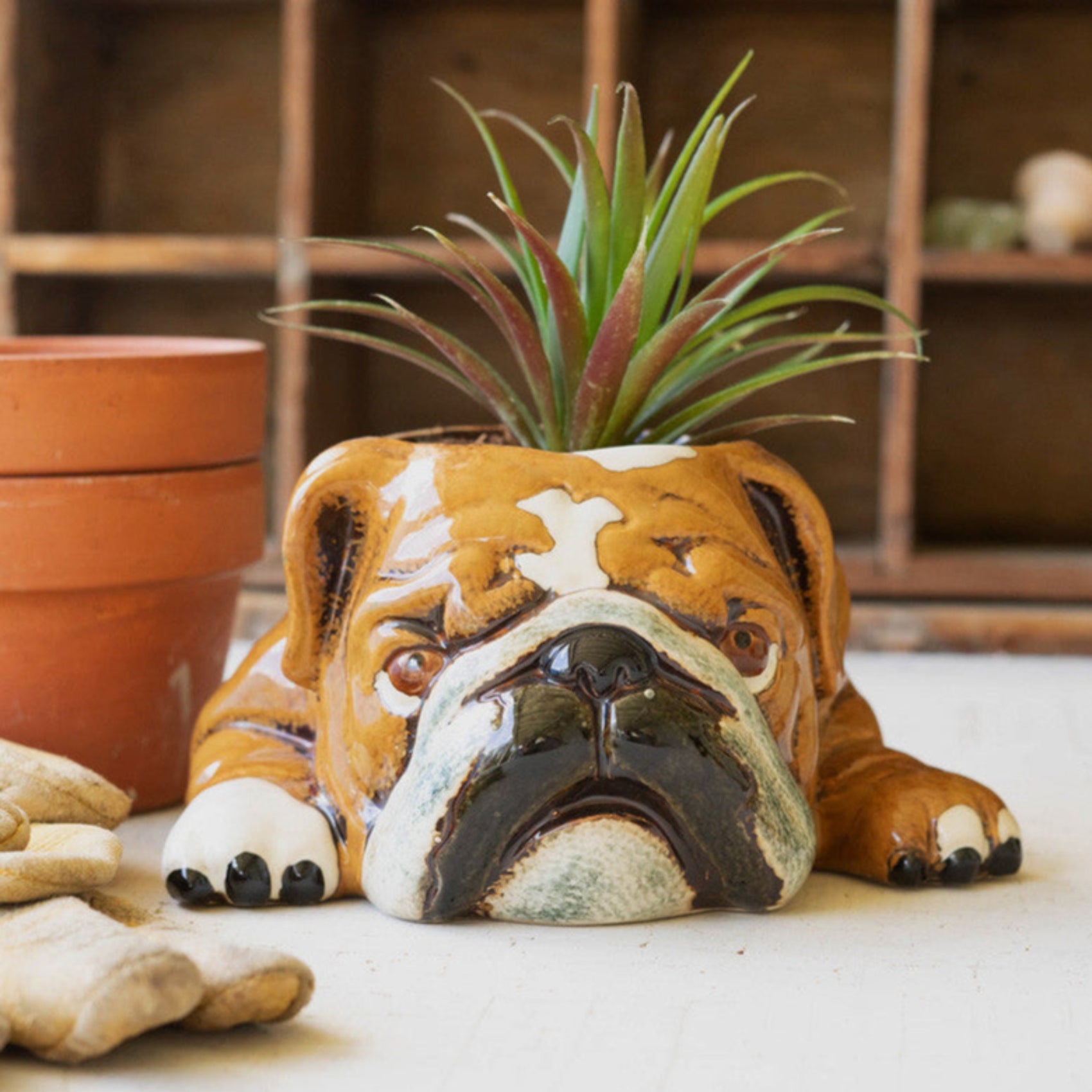 Ceramic Bulldog Planter